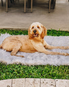 PupRug by Paw.com® Portable Orthopedic Dog Bed - Grey