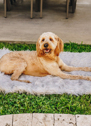PupRug by Paw.com® Portable Orthopedic Dog Bed - Grey