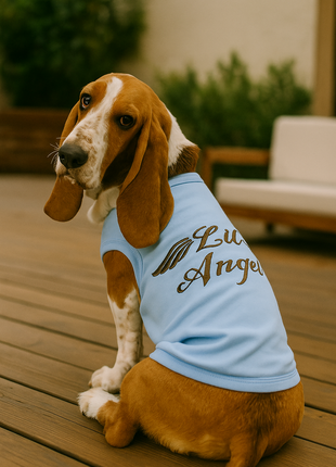 Parisian Pet 'Lil Angel' Dog & Cat T-Shirt – Comfortable & Lightweight Embroidered Novelty Pet Shirt – Light Blue