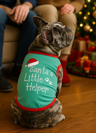 Parisian Pet 'Santa's Little Helper' Dog & Cat Shirt - Christmas Pet Apparel, Green