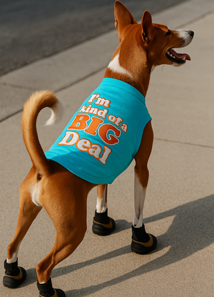 Parisian Pet 'I'm Kind of a Big Deal' Humorous Dog Shirt – Embroidered Graphic Pet T-Shirt for Dogs & Cats, Light Blue