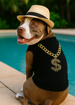 Parisian Pet 'Bling $' Dog Shirt – Sparkly Embroidered Pet T-Shirt for Dogs & Cats, Black