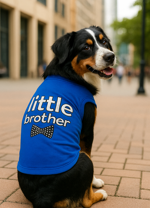 Parisian Pet 'Little Brother' Dog Shirt - Dog Sibling Shirt for Dogs & Cats, Blue