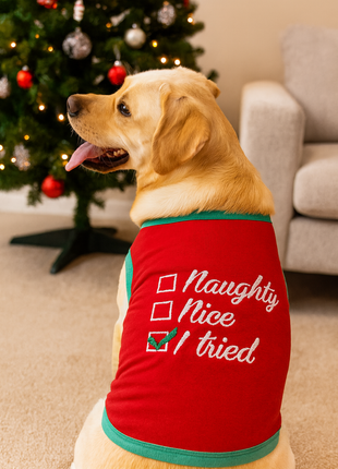 Parisian Pet 'Naughty or Nice' Dog Christmas T-Shirt - Festive Pet Holiday Shirt for Dogs & Cats, Red