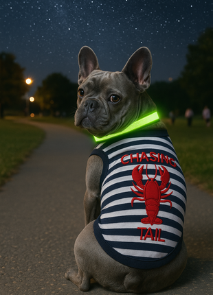 Parisian Pet 'Lobster Chasing Tail' Dog Shirt – Nautical Cotton Pet T-Shirt for Dogs & Cats, Blue & White Stripes