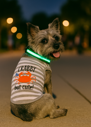 Parisian Pet 'Crabby But Cute Tee' Embroidered Dog Shirt - Trendy Pet Apparel for Dogs & Cats, Gray and White Stripes