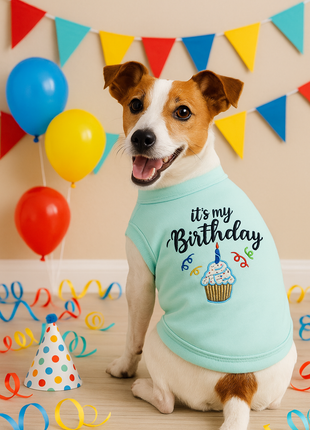 Parisian Pet 'Birthday Boy' Fun Slogan Dog T-Shirt –Premium Embroidered Celebratory Clothing for Dogs & Cats, Blue