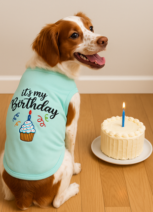 Parisian Pet 'Birthday Boy' Fun Slogan Dog T-Shirt –Premium Embroidered Celebratory Clothing for Dogs & Cats, Blue