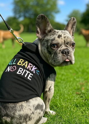 Parisian Pet 'All Bark No Bite' Embroidered Dog T-Shirt – Funny Slogan Pet Apparel for Dogs & Cats, Black