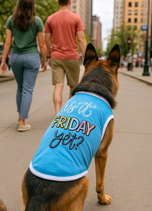 Parisian Pet 'Is It Friday Yet?' Embroidered Dog T-Shirt – Trendy Weekend Dog Apparel for Dogs & Cats, Light Blue