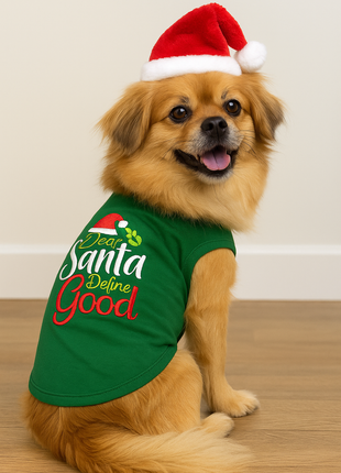Parisian Pet 'Dear Santa Define Good' Dog Christmas T-Shirt - Festive Pet Shirt for Cats & Dogs, Green