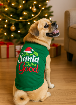 Parisian Pet 'Dear Santa Define Good' Dog Christmas T-Shirt - Festive Pet Shirt for Cats & Dogs, Green
