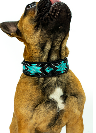 Saint Barth Sambboho dog collar (Deluxe Edition)
