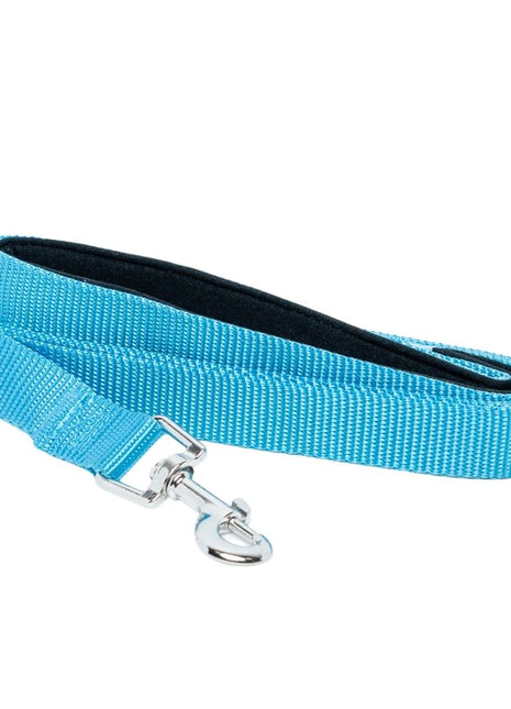 Padded Grip 5-Foot Nylon Dog Leash