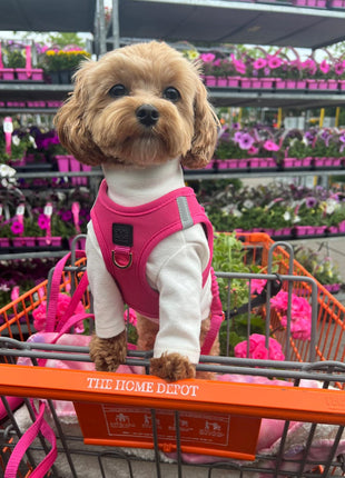 SoHo Dog Harness - Park Ave Pink