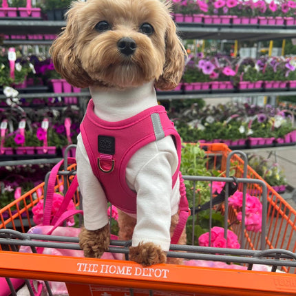 SoHo Dog Harness - Park Ave Pink