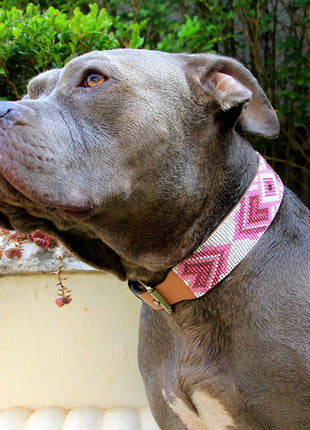 Paris Sambboho dog collar (with center D-ring)