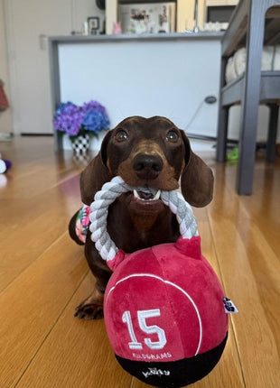 KETTLEBELL TUG ROPE INTERACTIVE TOY