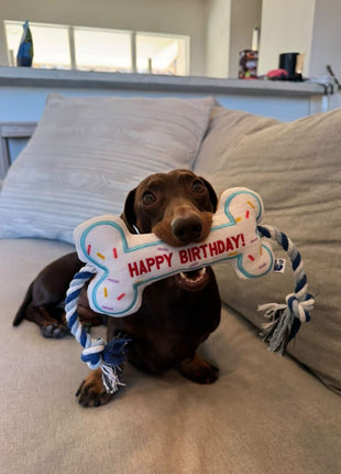 BIRTHDAY BONE