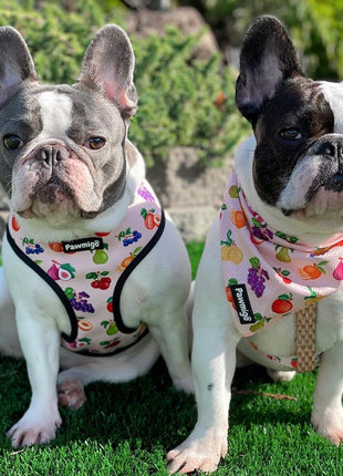 Frootie Patootie Cooling Bandana