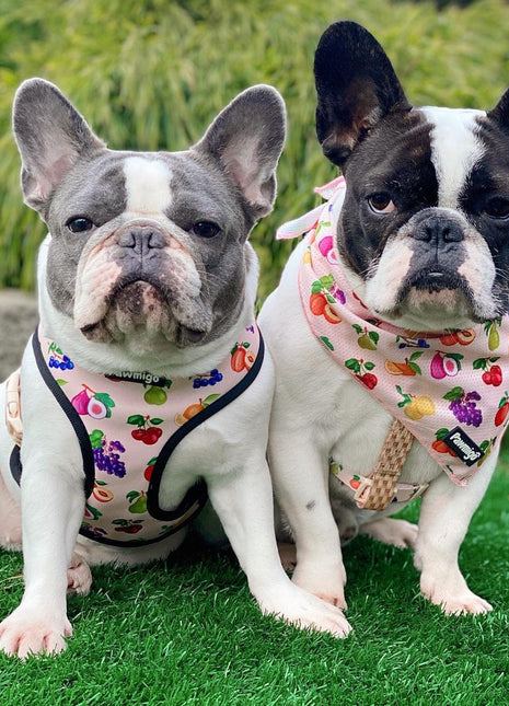 Frootie Patootie Cooling Bandana
