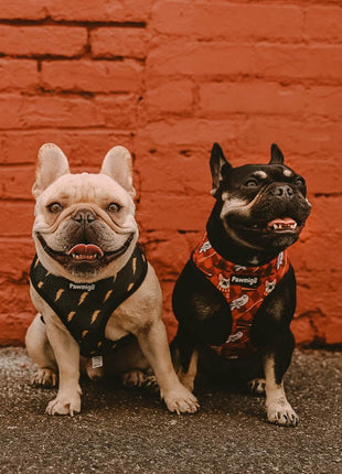 Pawgwarts Reversible Harness - Pup List