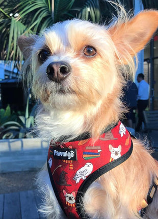Pawgwarts Reversible Harness - Pup List