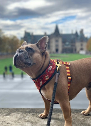 Pawgwarts Reversible Harness - Pup List