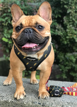 Pawgwarts Reversible Harness - Pup List