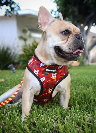 Pawgwarts Reversible Harness - Pup List