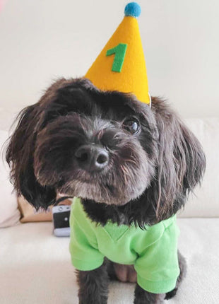 PAWTY HAT - Green number