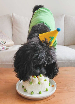 PAWTY HAT - Green number
