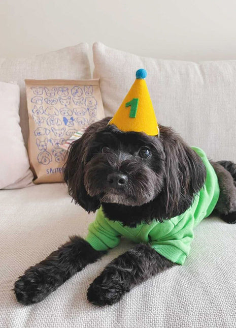 PAWTY HAT - Green number