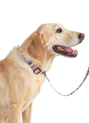 Pendleton Adventure Collar