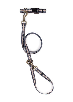 Pendleton Adventure Collar