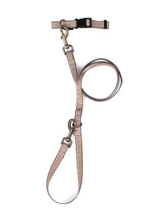 Pendleton Adventure Collar