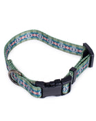 Pendleton Adventure Collar