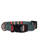 Pendleton Adventure Collar
