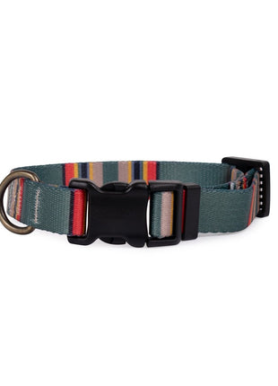 Pendleton Adventure Collar