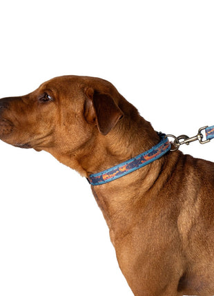 Pendleton Adventure Collar
