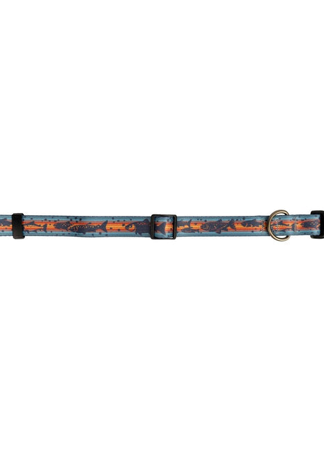 Pendleton Adventure Collar