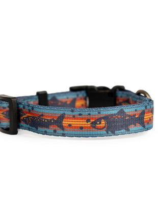 Pendleton Adventure Collar