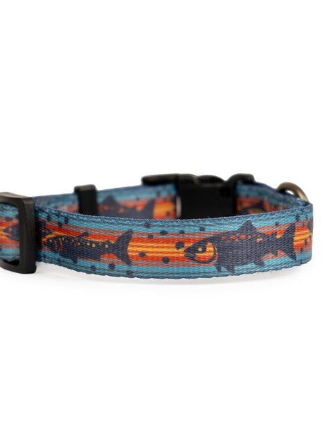 Pendleton Adventure Collar