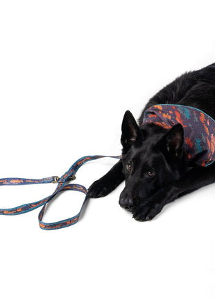 Pendleton Adventure Leash