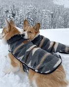 Pendleton Berber Dog Coat