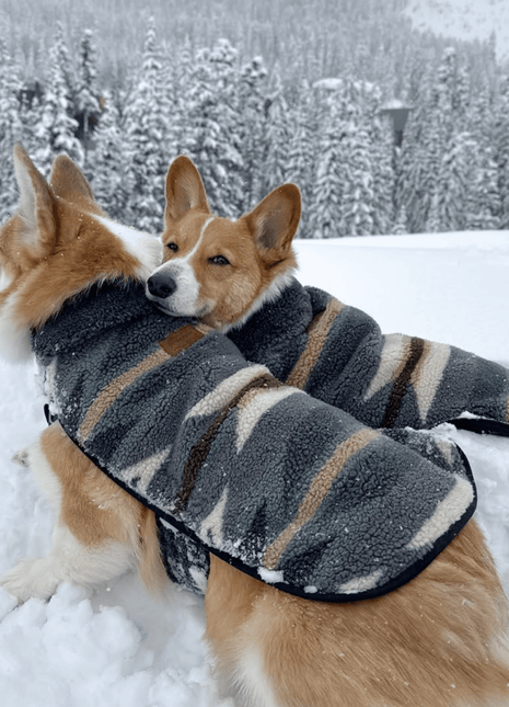 Pendleton Berber Dog Coat