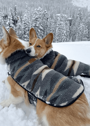 Pendleton Berber Dog Coat
