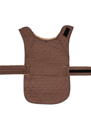 Pendleton Berber Dog Coat