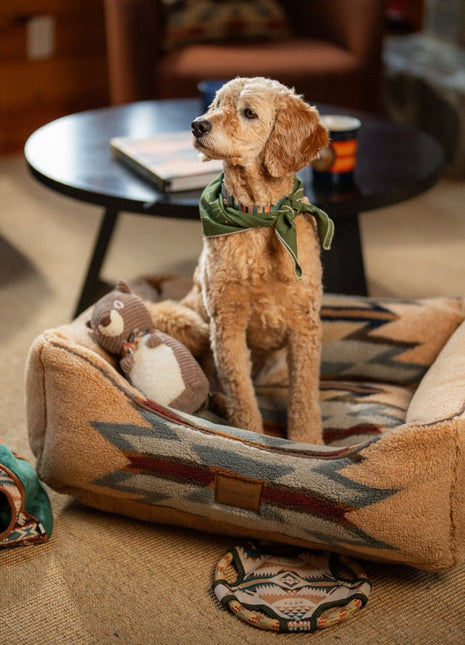 Pendleton Berber Kuddler - Pup List
