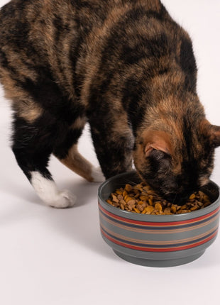 Pendleton Ceramic Food & Water Pet Bowl - Pup List